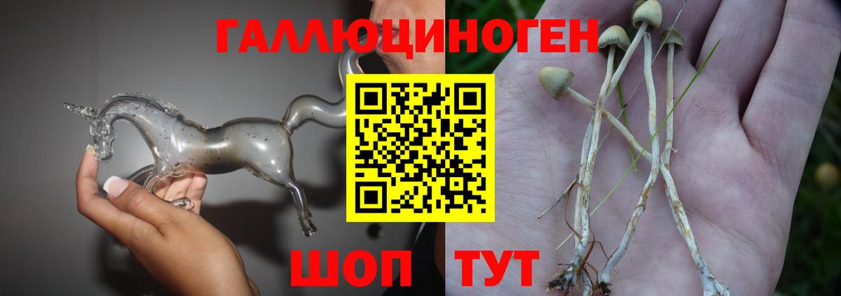Чайковский  Галлюциногенные грибы Psilocybine cubensis  Вход с VPN 